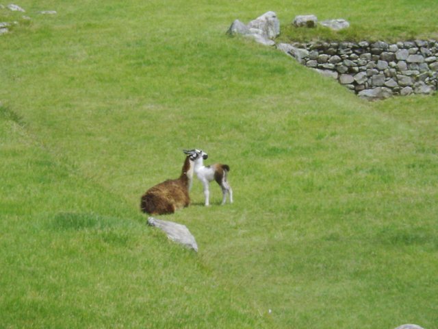 Peru 2012 208.JPG