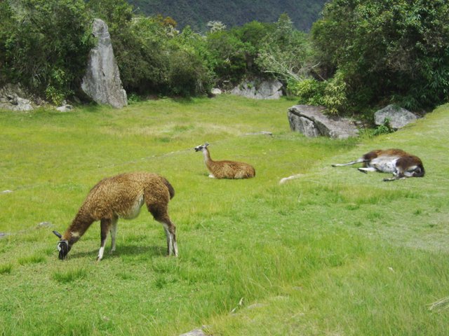 Peru 2012 246.JPG