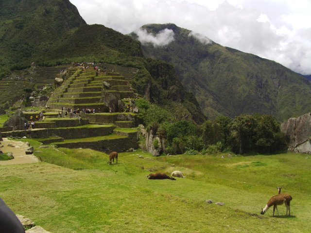 Peru 2012 248.JPG