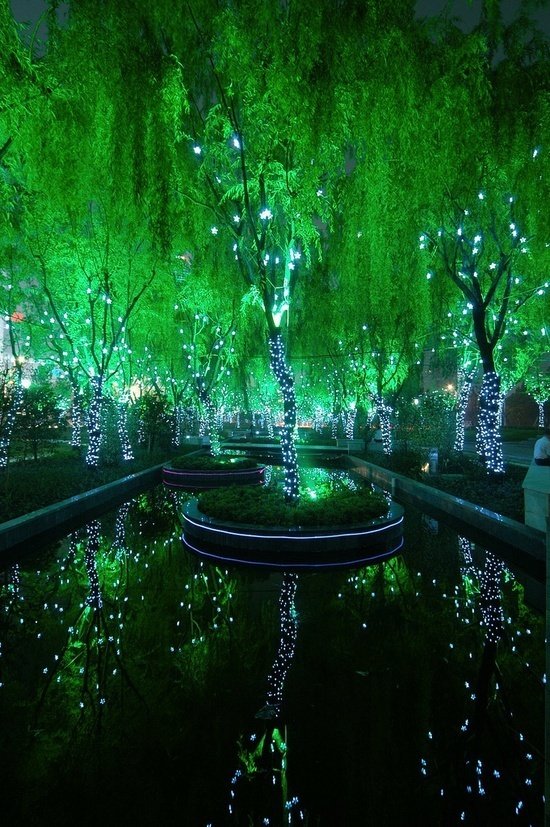 Magic-Forest-in-Shanghai.jpg