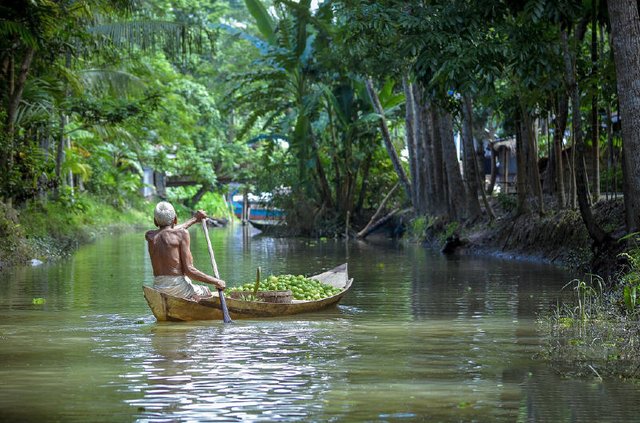 floating guava market (2).jpg