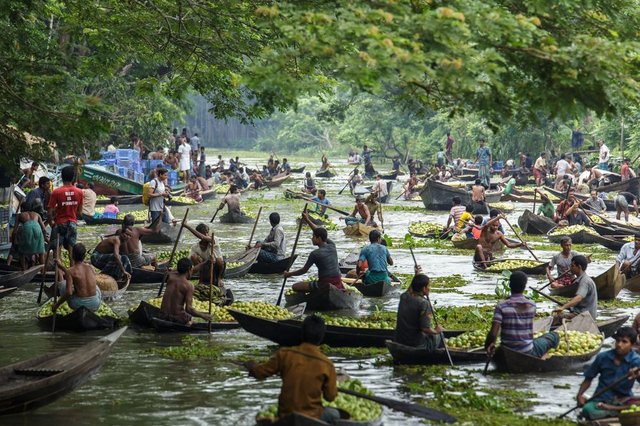 floating guava market (3).jpg