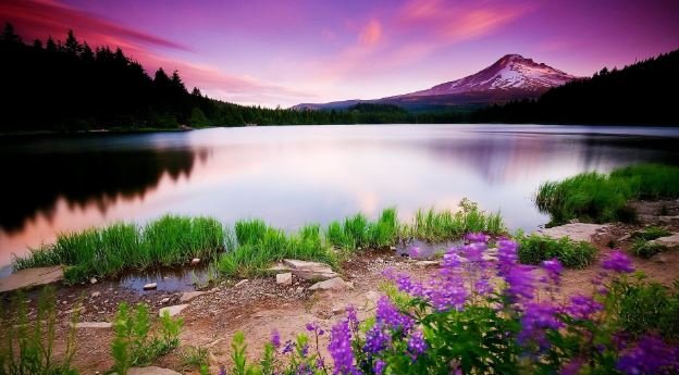 cool nature wallpapers 1080p