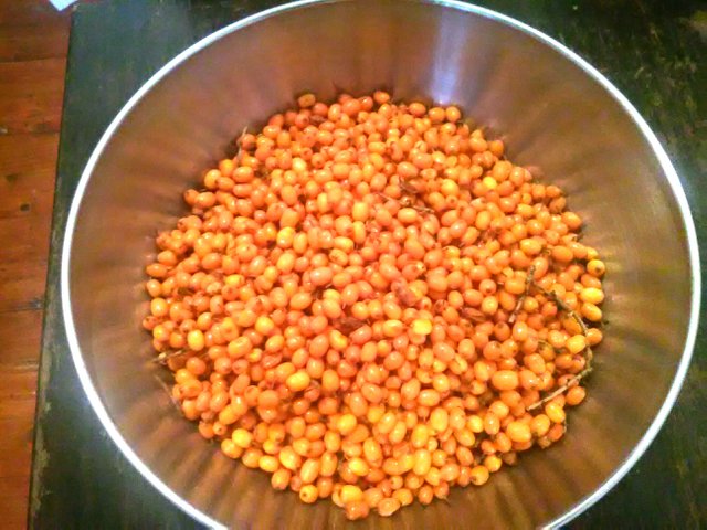 sea buckthorn juice 3.jpg