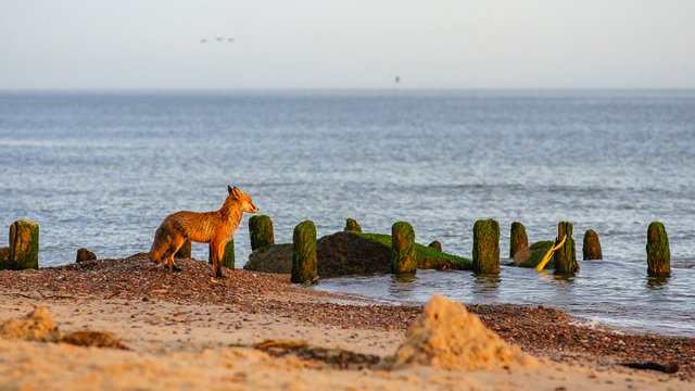 Photo by Dmytro Korol