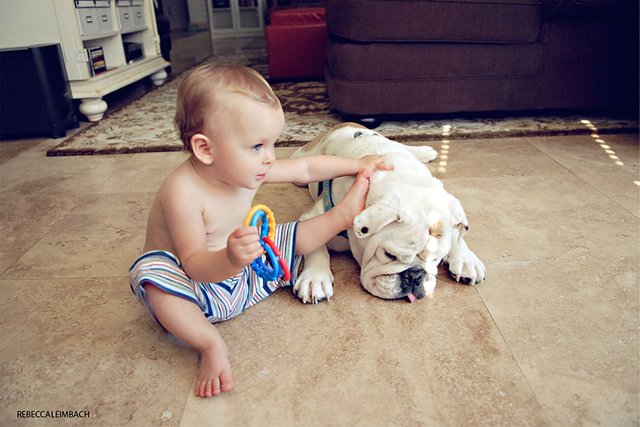 girl-english-bulldog-friendship-photography-lola-harper-rebecca-leimbach-19.jpg