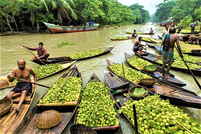 guava market (2).jpg