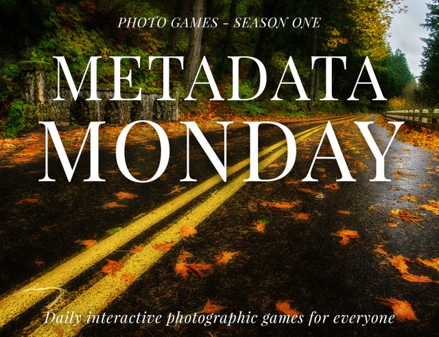 Metadata Monday Photo