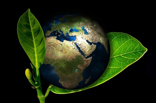 earth-globe-birth-new-arise.jpg