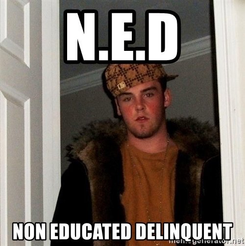 ned-non-educated-delinquent.jpg