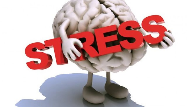 brain-stress-750x429.jpg