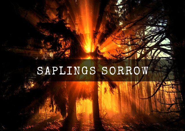 saplings sorrow.jpg