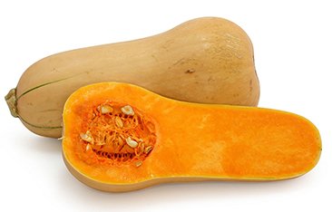 butternut-squash.jpg