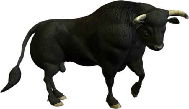 13-2-bull-png.png