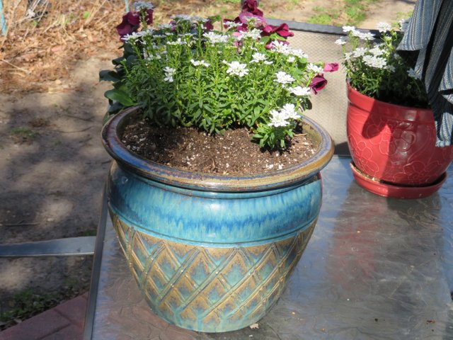 FlowerPot3.JPG