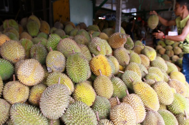 durian2.png