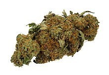 220px-Marijuana-Cannabis-Weed-Bud-Gram.jpg