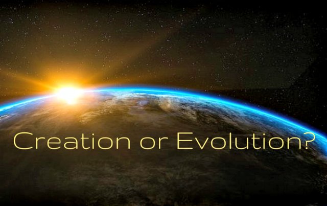 Creation-or-Evolution.jpg