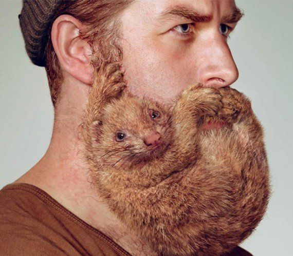 Funny-Beard-Pictures-1-570x499.jpg