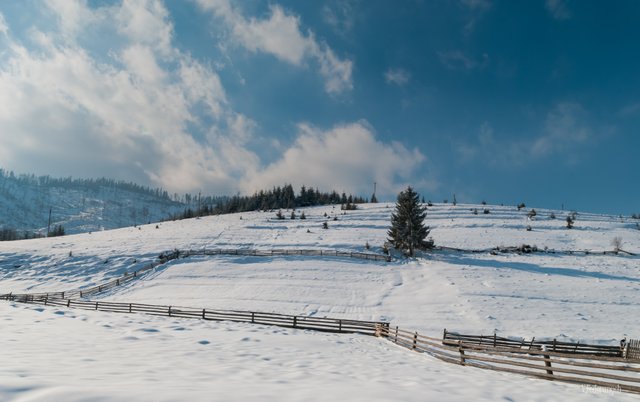 DSC_8529.jpg
