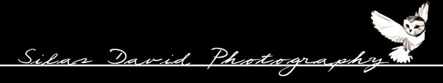 SD_photgraphy_banner.jpg