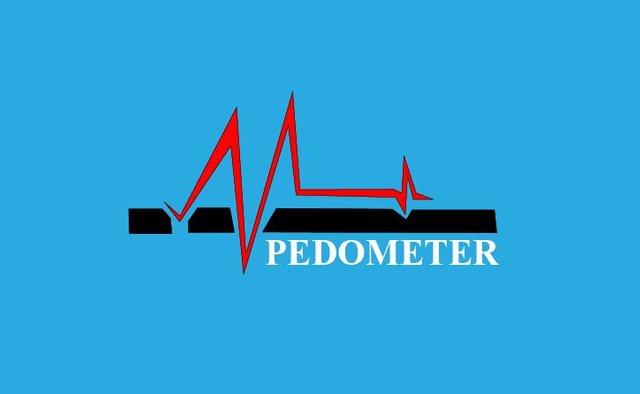 pedometer...JPG