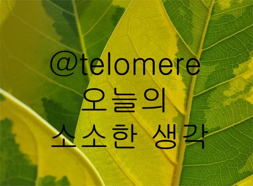 포맷변환_steemit.jpg