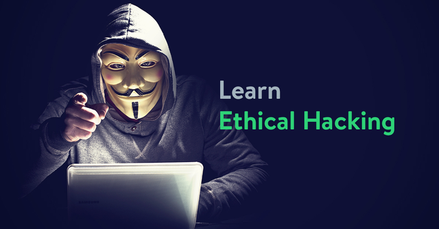 learn-ethical-hacking-from-scratchPCWolf.png