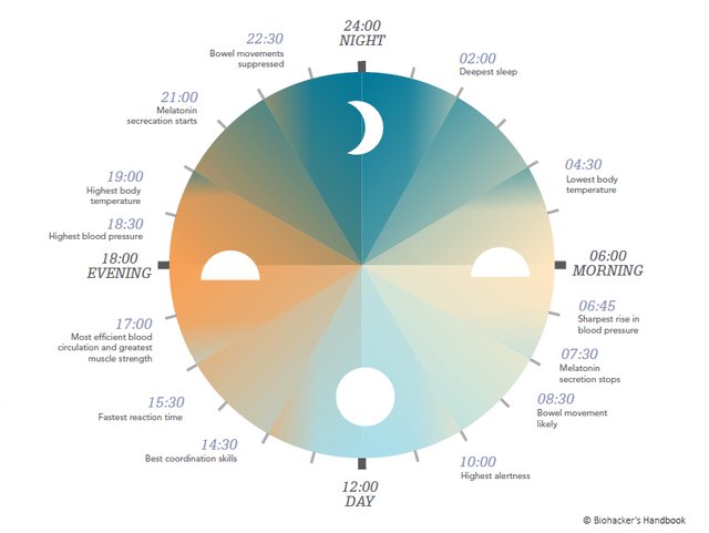 melatonin_grafik_1-1.jpg