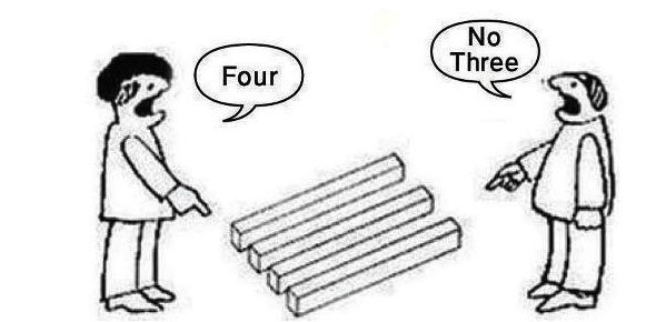 perception illusion.jpg