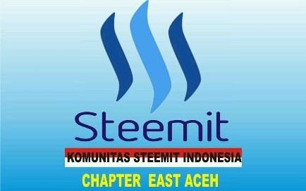 Chapter East Aceh.jpg