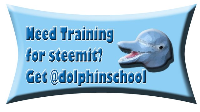 dolphinschool banner.jpg