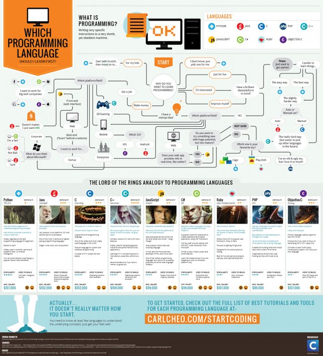 WhichProgrammingLanguageShouldILearnFirst_54a3f0461e432_w1500.png