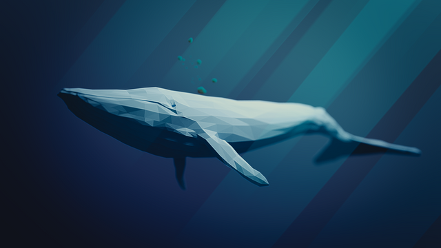 blue-whale-3158626_960_720.png