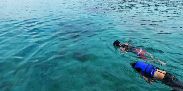 1433055iboih-Dua-orang-wisatawan-tengah-ber-snorkeling-ria-menikmati-keindahan-biota-laut-Iboih-Jumat-5-2-2016-Tulus-Muliawan780x390.jpg