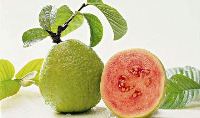 guava.png