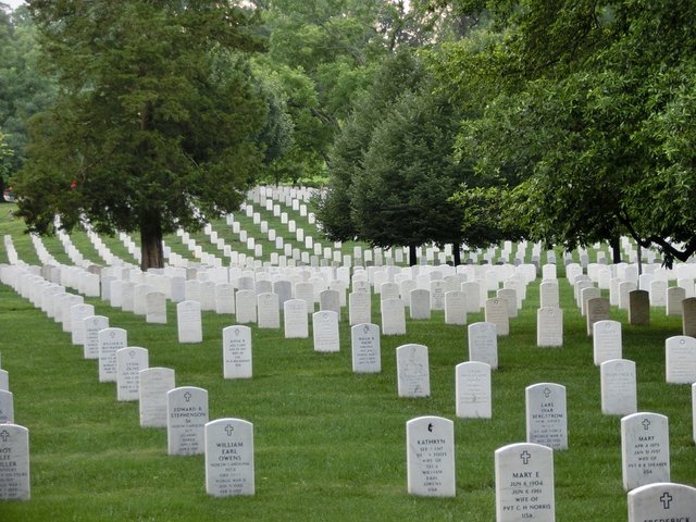 military-cemetery-516064_960_720.jpg