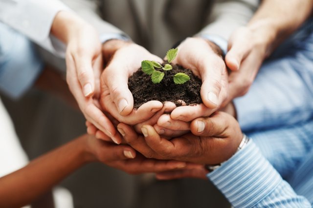 hands-holding-seedling-849x565.jpg