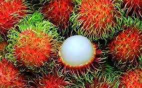 rambutan.jpg