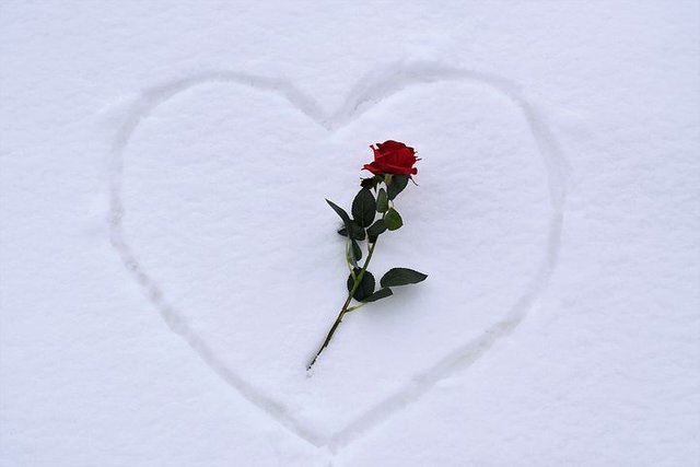 heart-in-snow-3198676__480.jpg