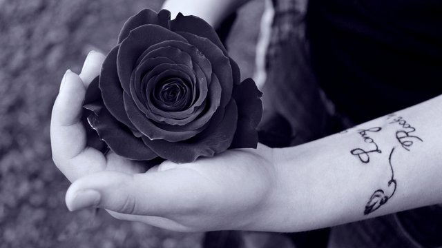 Romantic-Black-Rose-Wallpaper1.jpg