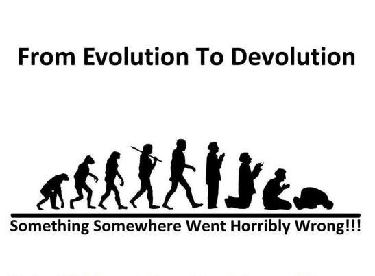 evolution to devolution.jpg