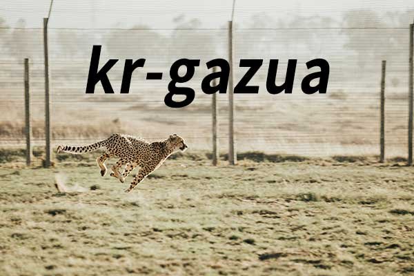 kr-gazua.jpg