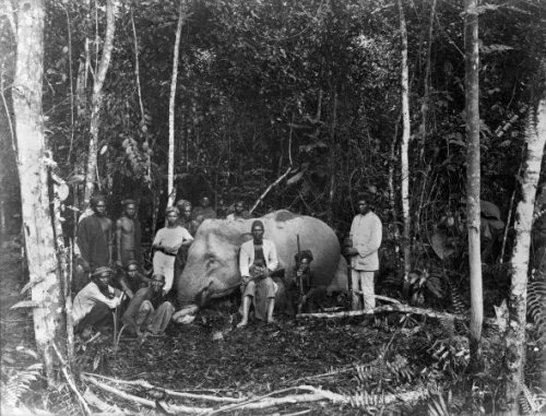 Pemburu Gajah Sumatera, 1880.jpg