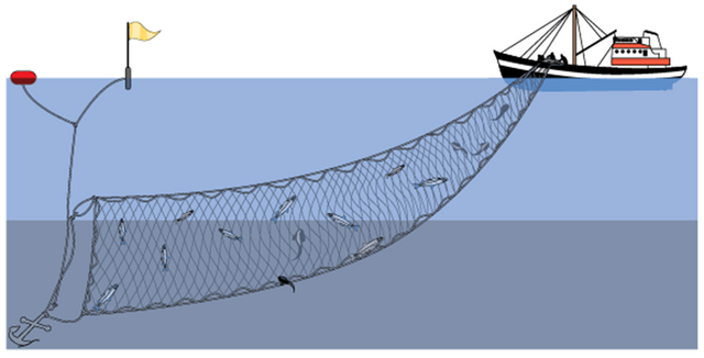 Know the Simple and Modern Method of Fishing at sea (Advanced tool nets) —  Steemit