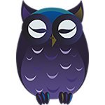 NightOwlWriter