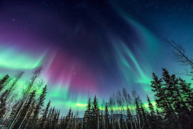 Image from https://s.yimg.com/ny/api/res/1.2/.Gsi9_LGJ3m8y01q3EJ38g--/YXBwaWQ9aGlnaGxhbmRlcjt3PTEyMDA7aD04MDE-/https://s.yimg.com/uu/api/res/1.2/whqhLf5xX.KeRIE60IIVuQ--~B/aD0xNzA4O3c9MjU2MDthcHBpZD15dGFjaHlvbg--/https://media.zenfs.com/en/usa_today_news_641/e3b3ecee5a6191f7762fdf04a6905362