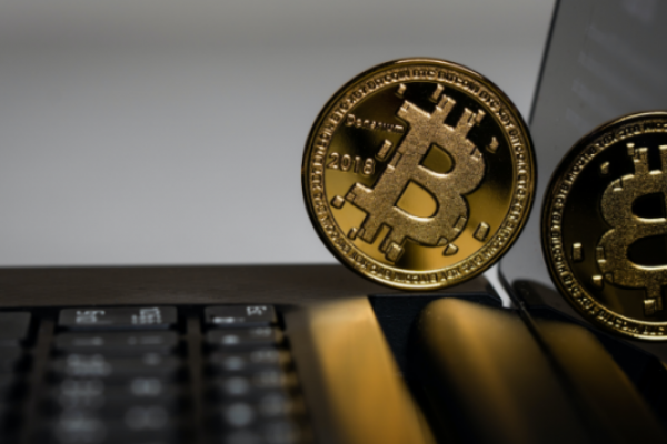 STEEM POSTS