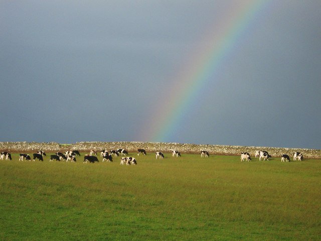 A rainbow at Dally