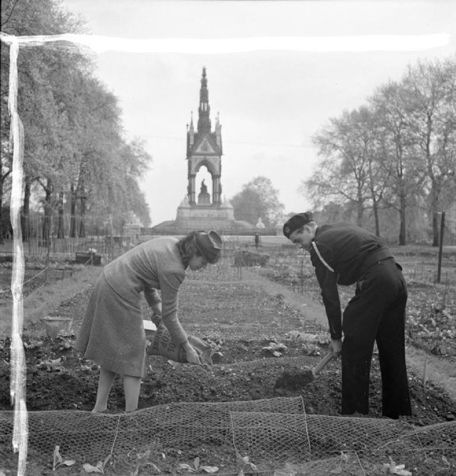Dig_For_Victory-_Working_on_An_Allotment_in_Kensington_Gardens.jpg